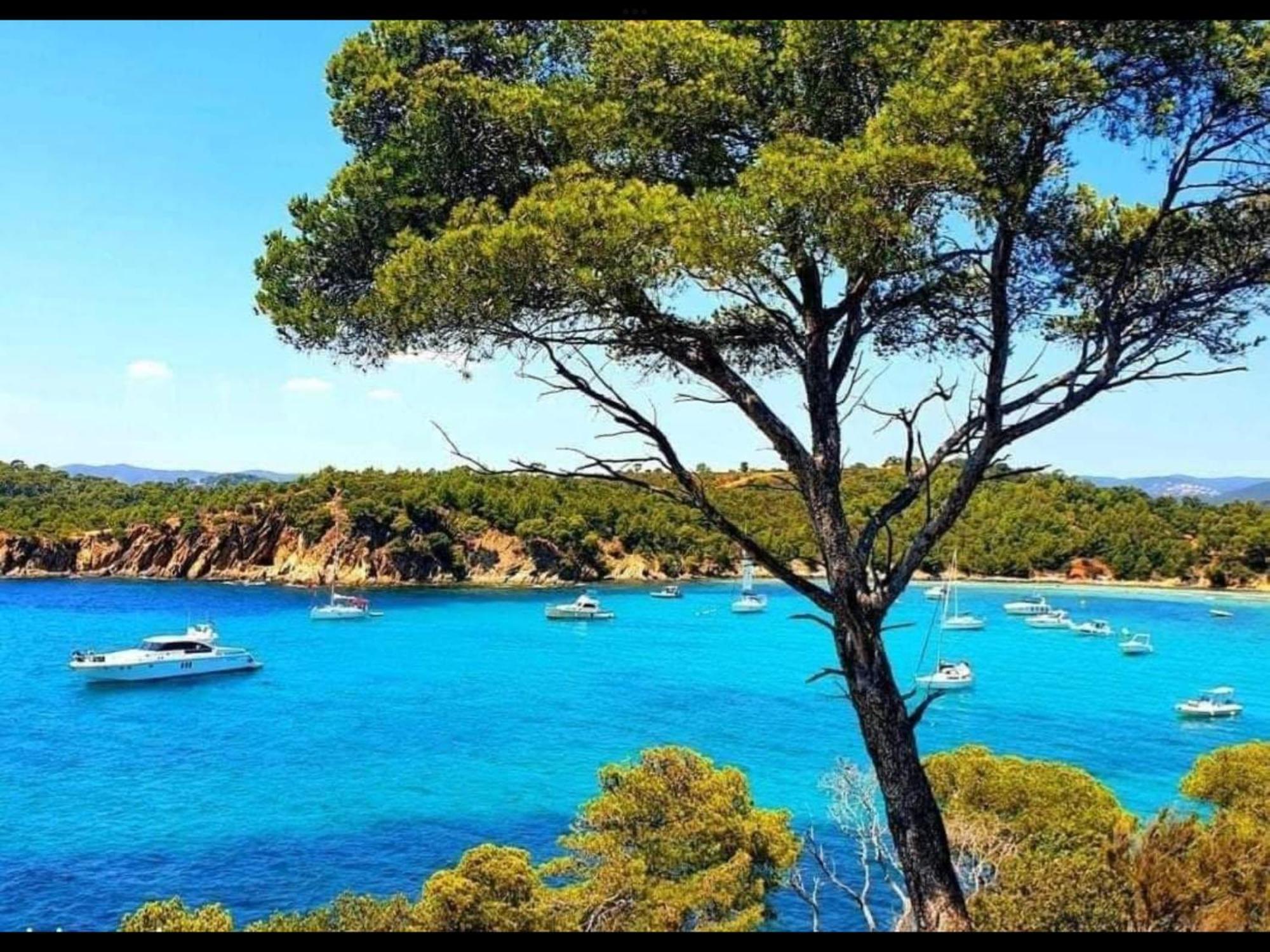 Appartement Pieds Dans L'Eau Vue Mer Bormes Les Mimosas Exterior photo